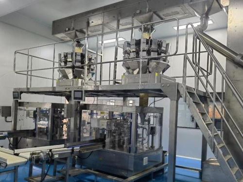 全自动膨化食品包装设备品牌推荐 助力虾条、薯片、虾片、锅巴高效生产